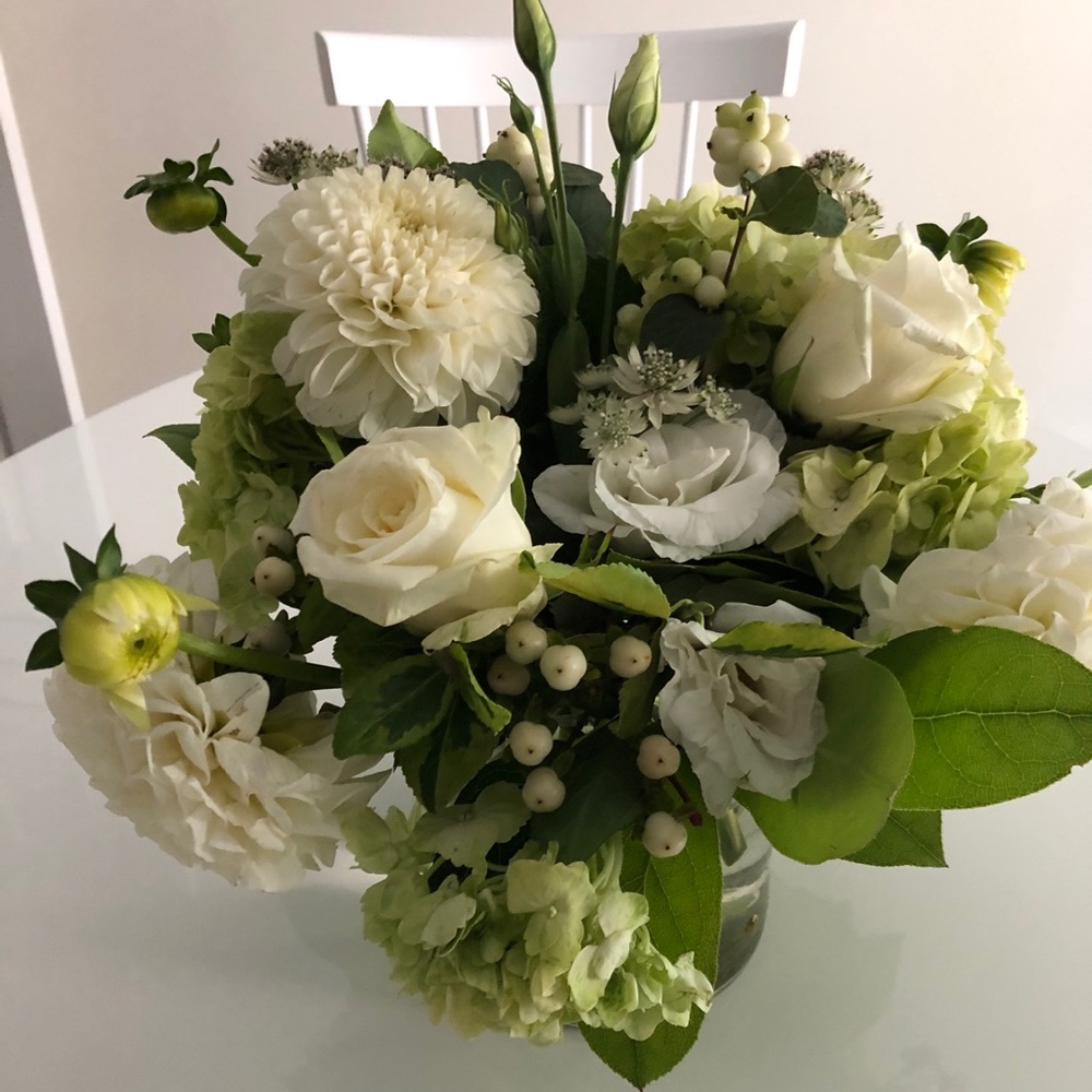 Meet your Posher, Abby